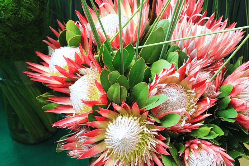 Елена Степанова | Воскресенск