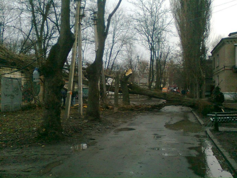 №52, Максим Серёжин №52, Максим Серёжин