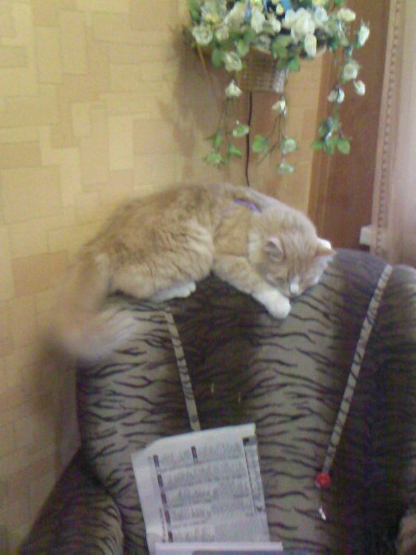 Ольга Щедрина | Североморск