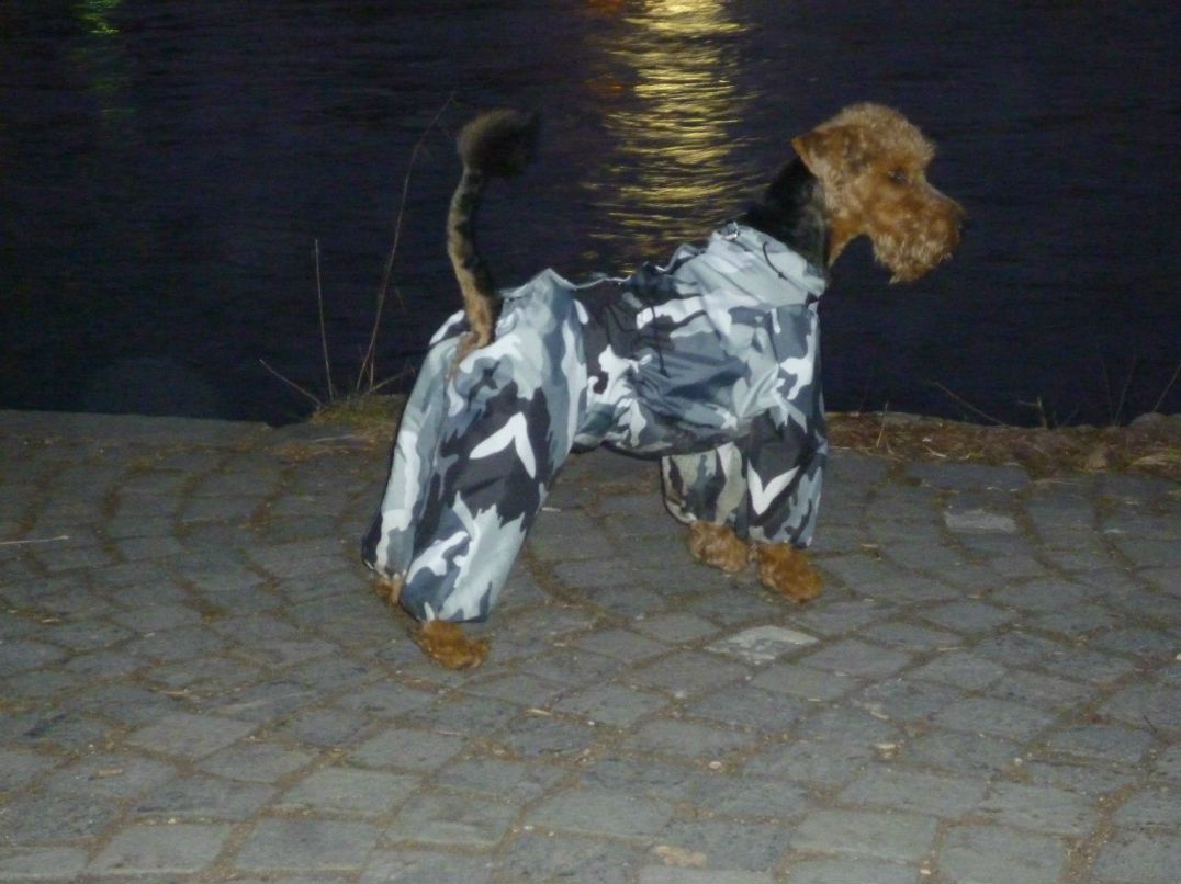 Мария Архипова | Neu-Ulm