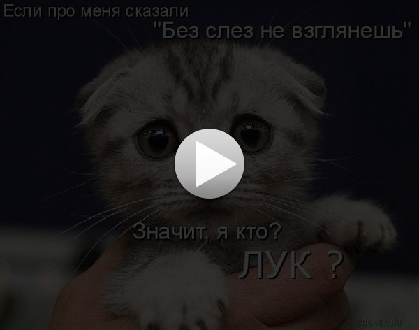 Елена Рихельгоф | 