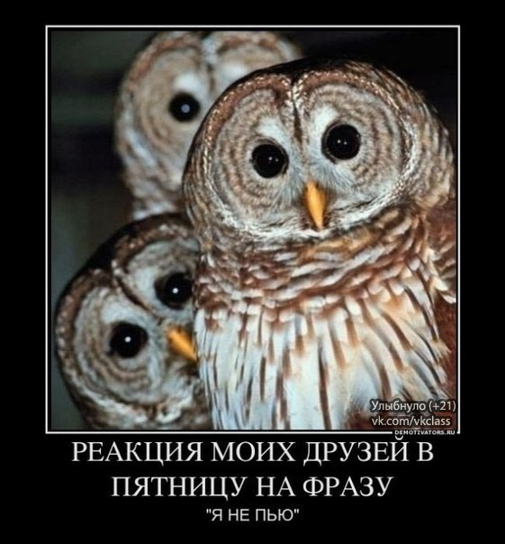 Сергей Филон | Шостка