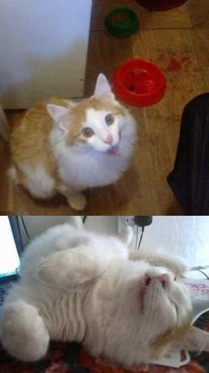 Maria Ignatova | Нижний Новгород