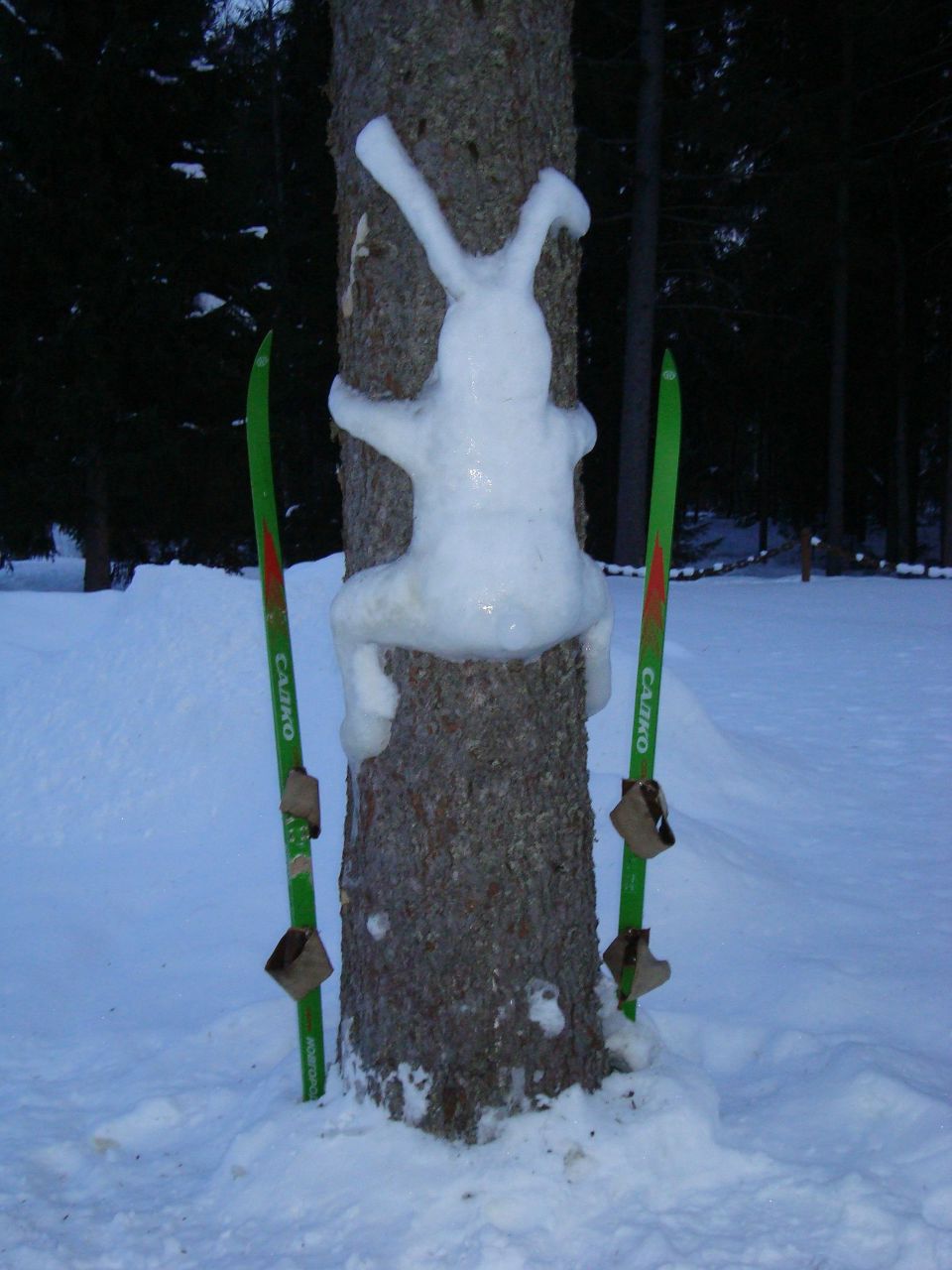Дмитрий Озимков | Санкт-Петербург