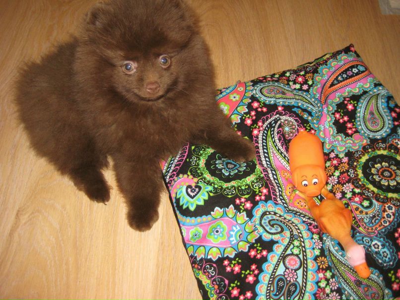 Tanya Matros-Galyanina | Санкт-Петербург