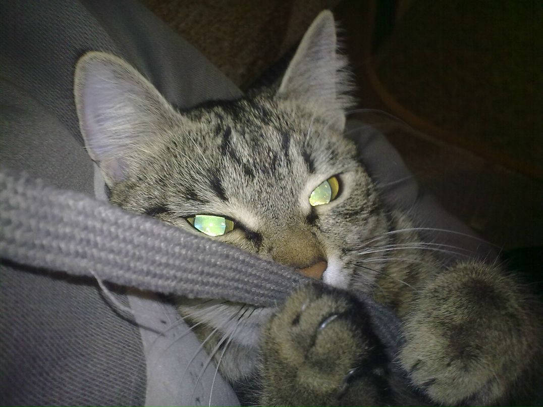 Антон Лопатин | Каменск-Уральский