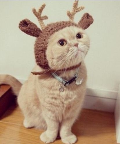 Тимур Шамсутдинов | Уфа