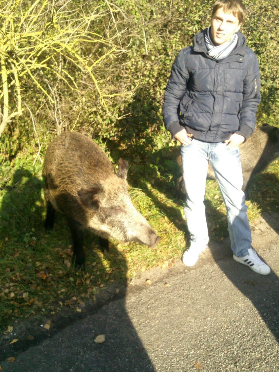 Vladimir Gromov | Калининград