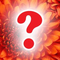 Ивана Иванова | 