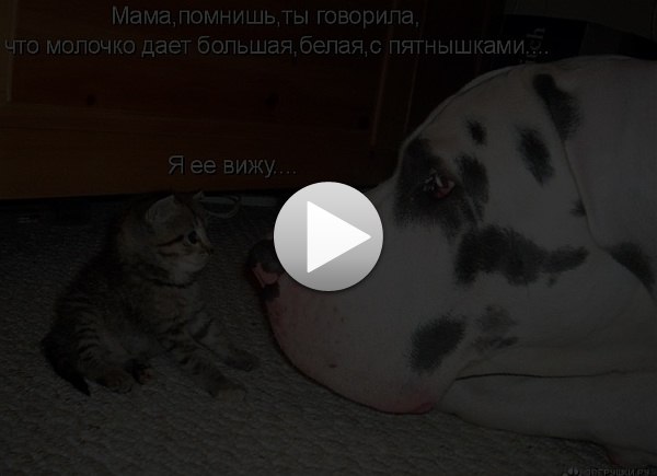 Леонид Ваврух Анатольевич | Великий Новгород