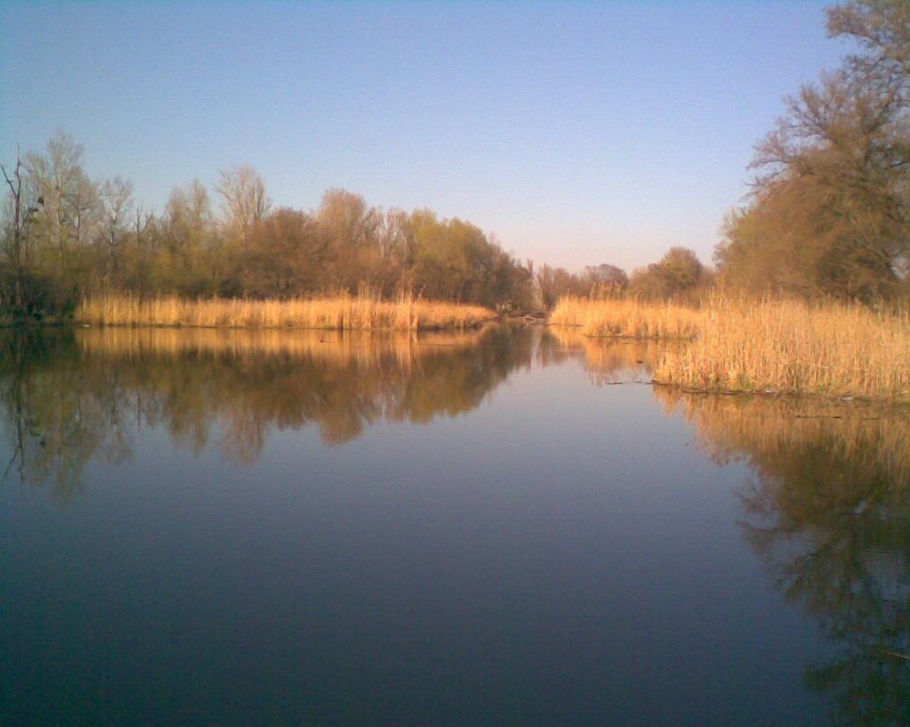 Сергей Батаргин | 