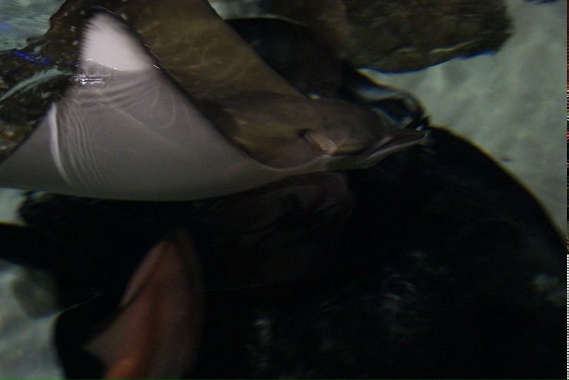 Ольга Борисова | Балаково