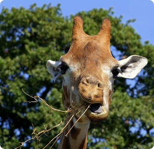 Дашита Рассказова | Москва