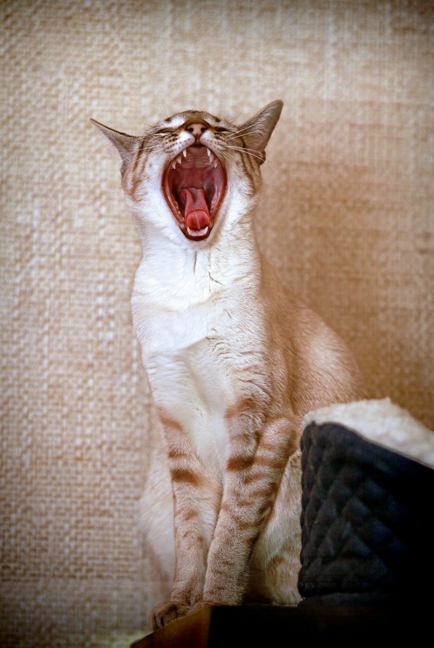 Виталик Петроченко | Красногорск