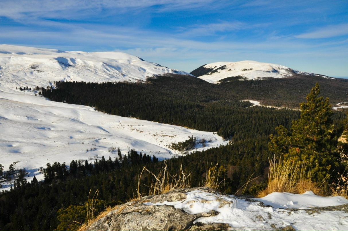 Александр Алексеенко | 