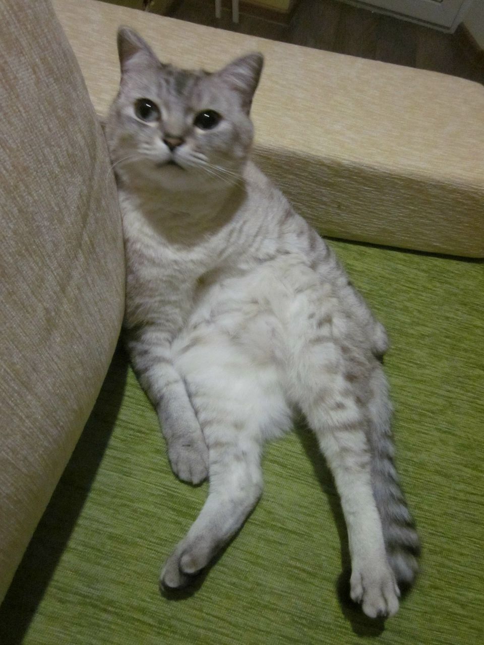 Оксана Воронина | 