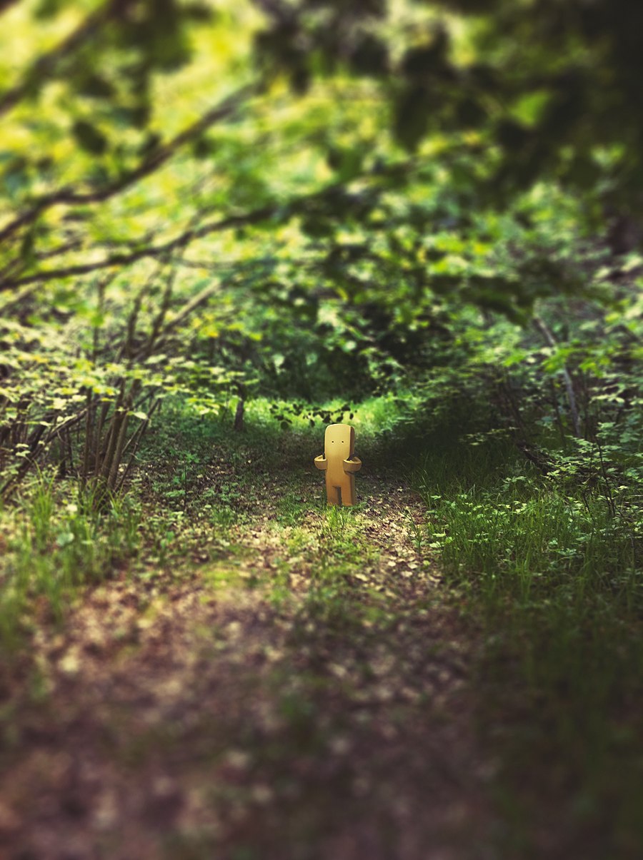 Наиль Шакиров | 