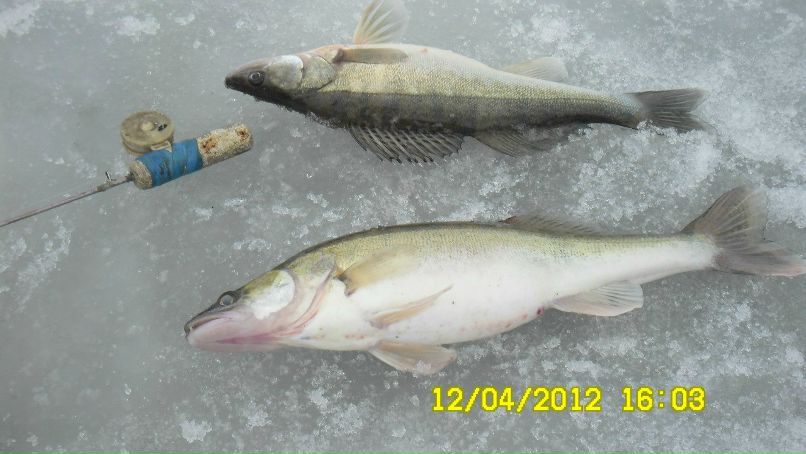 Михаил Силин | Пермь