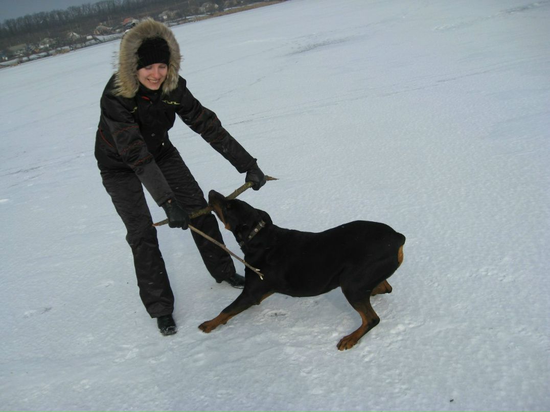 Юлия Литвин | Киев