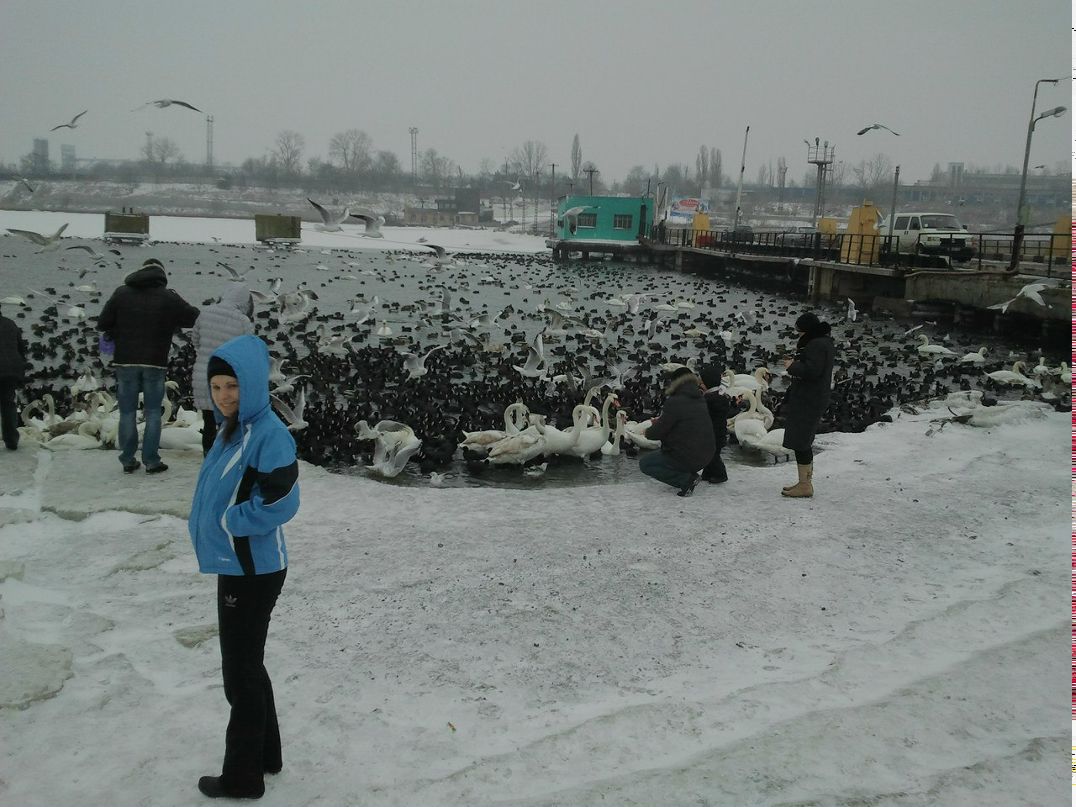 Александр Резник | Одесса