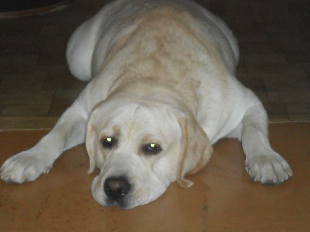 Оксана Клевцова николаевна | 