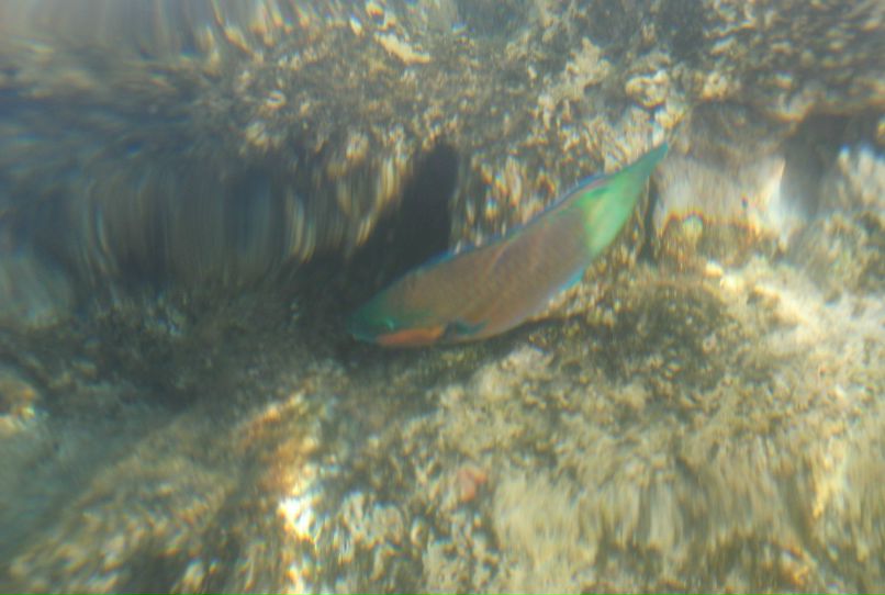 Юлия Тарасова | Раменское