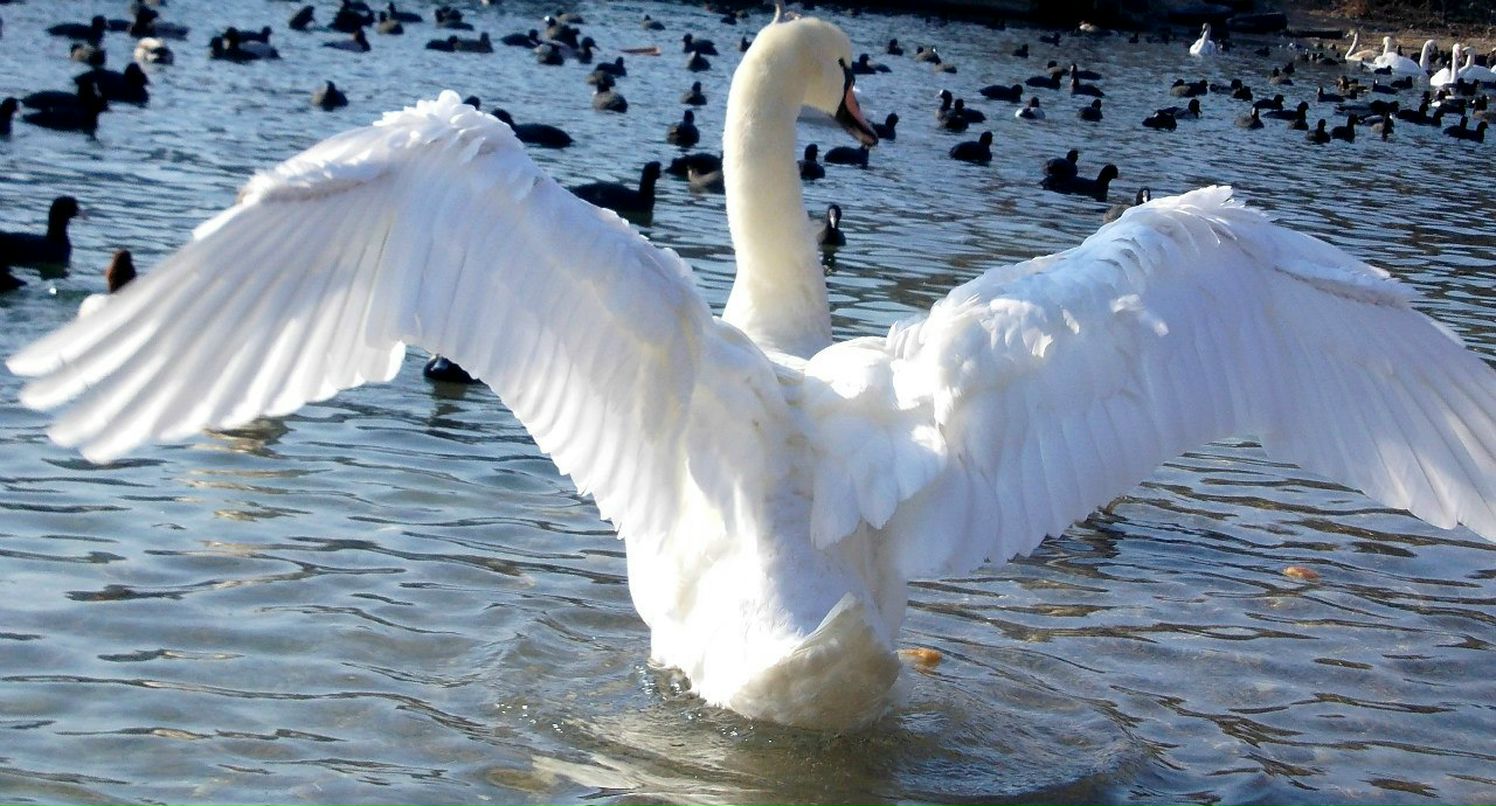 Оксана Семак | Луцк