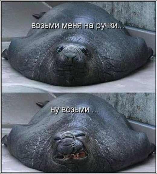 Анастасия Ковецкая | 