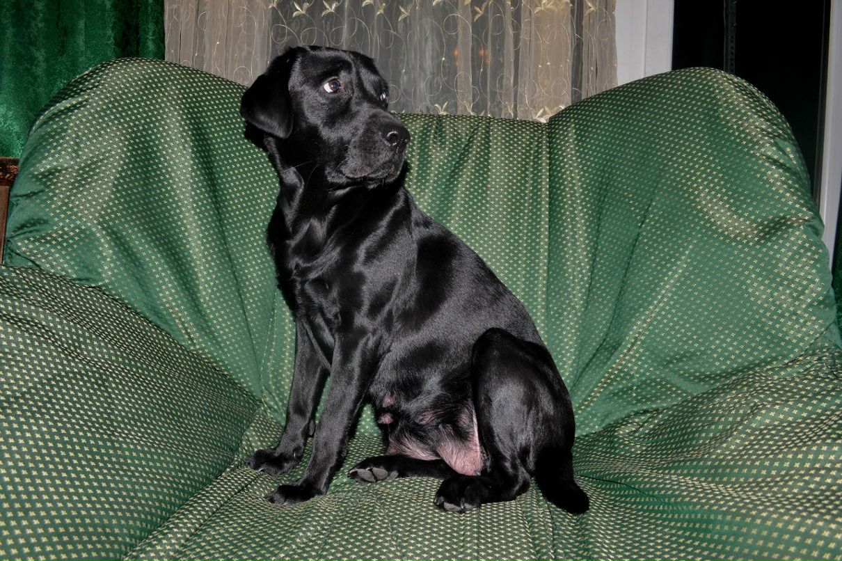 Екатерина Пируева | 