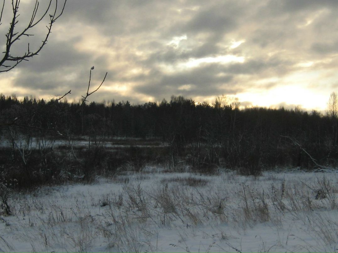 Елена Ильина | Санкт-Петербург