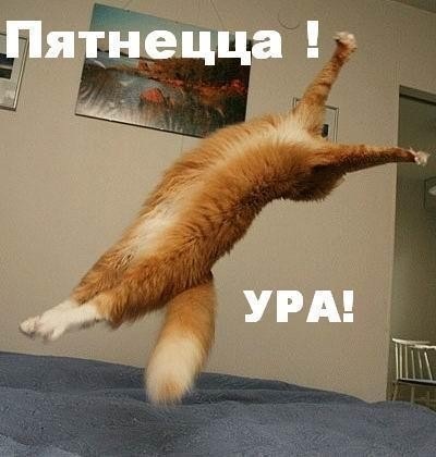 №54, Александр Мойсеенко, 37 лет, Санкт-Петербург №54, Александр Мойсеенко, 37 лет, Санкт-Петербург