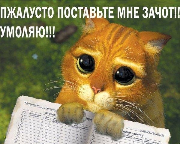 №54, Макс Йотка, 32 года, Харьков №54, Макс Йотка, 32 года, Харьков