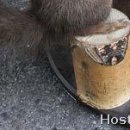 №4, Вітя Глушук, Луцк №4, Вітя Глушук, Луцк