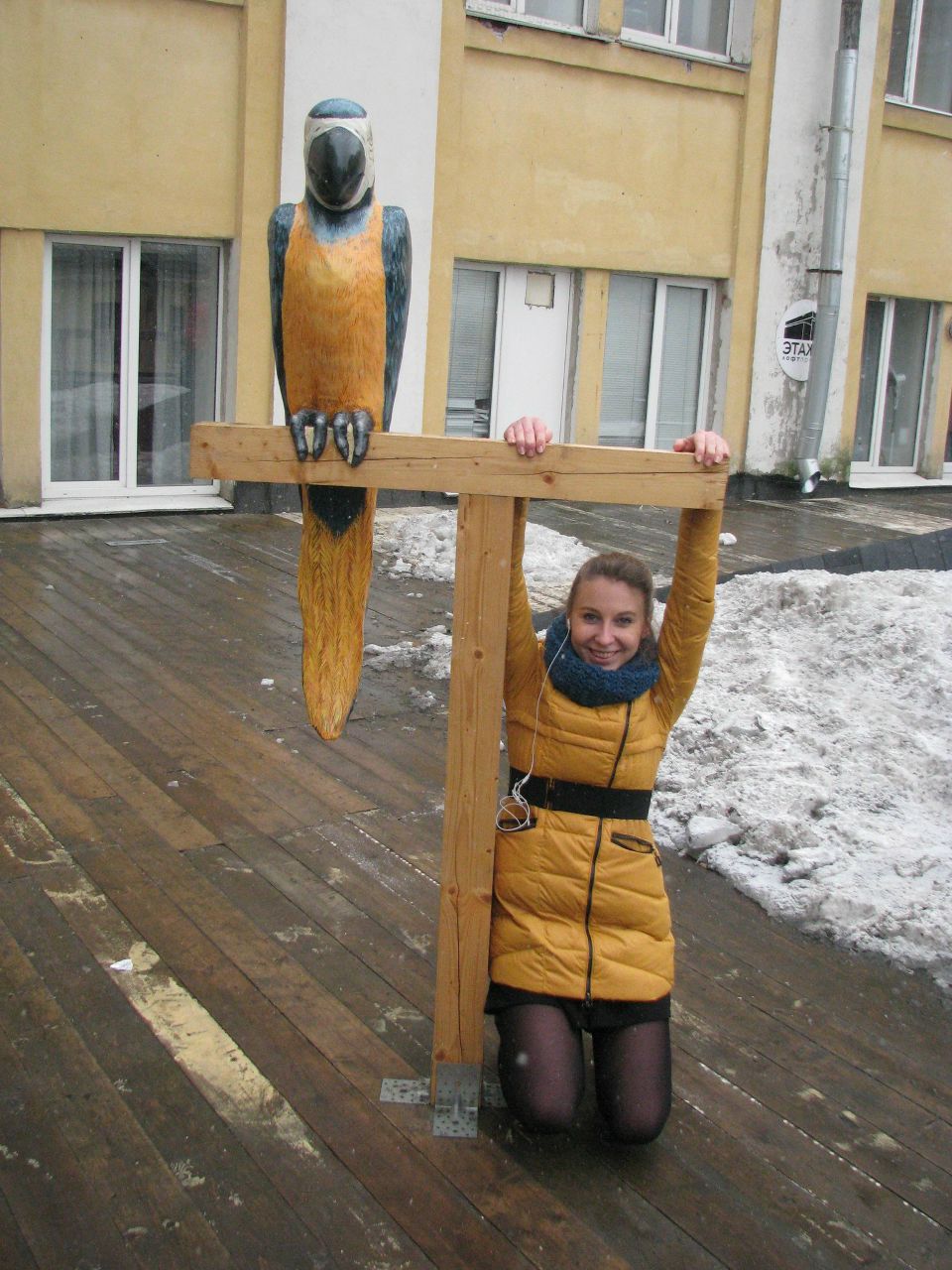 Елена Воробьева-Птичка-Семечка | Санкт-Петербург