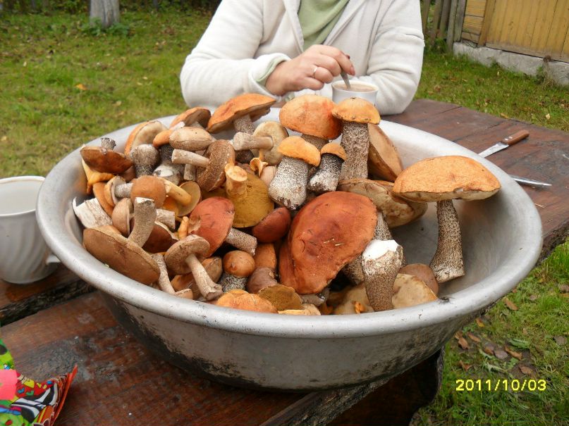 Роман Михалевич | Минск