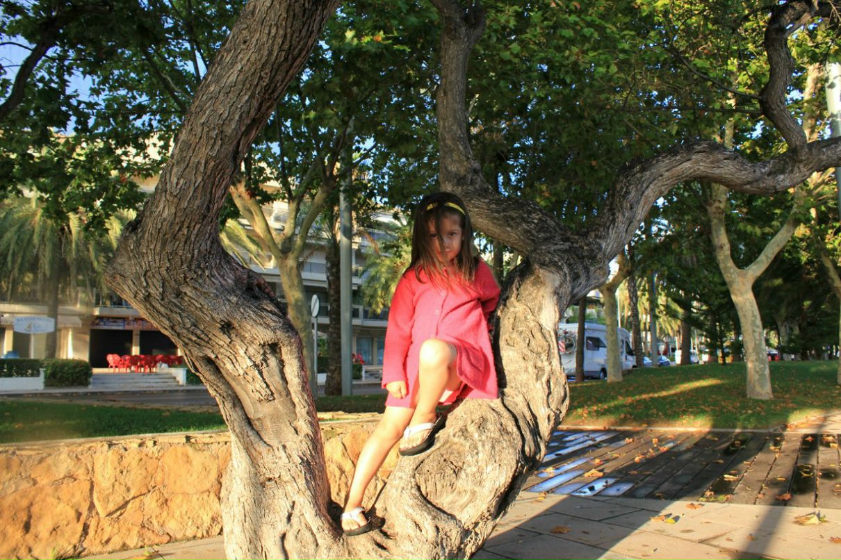 Антон Тихонов | Санкт-Петербург