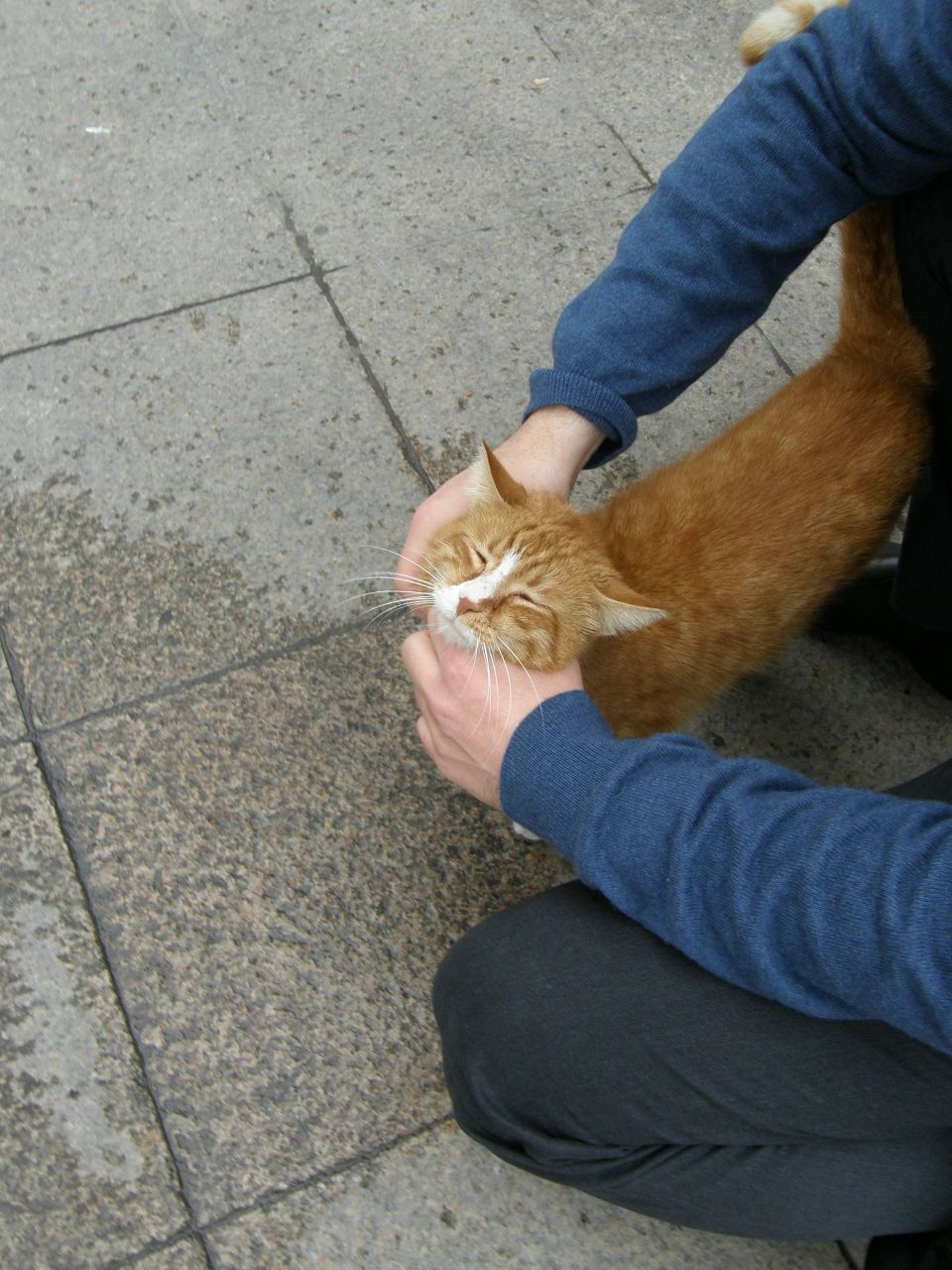 Василий Дубейковский | Калуга