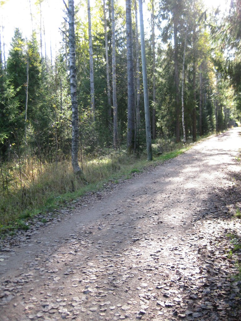 Галина Алатало | 