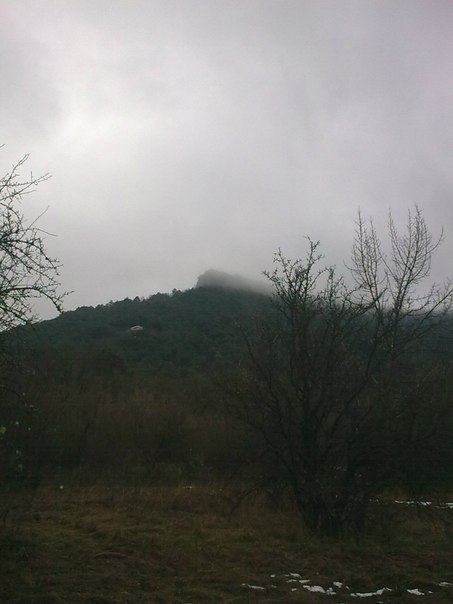 №92, Наталья Гажа, Харьков №92, Наталья Гажа, Харьков