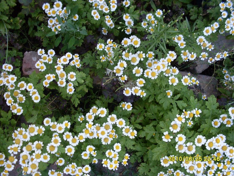 Ольга Воробьёва | Пенза