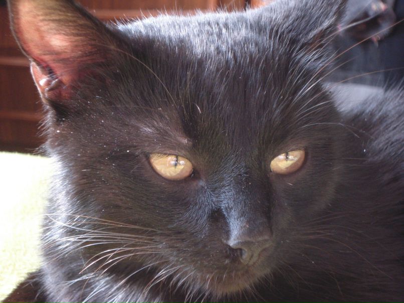 Надежда Киселёва | Шимск