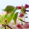 №54, Анжеліка Несен, 27 лет №54, Анжеліка Несен, 27 лет