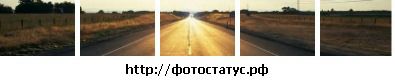 Фотография Алексей Савиновский
