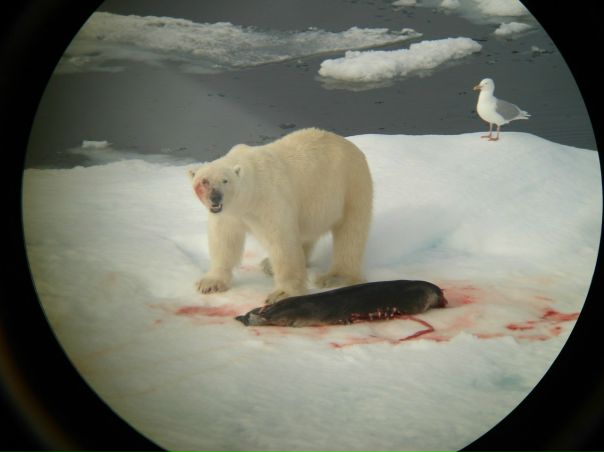 №7, Вячеслав Милхен №7, Вячеслав Милхен