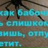 Фотография Наталья Белова