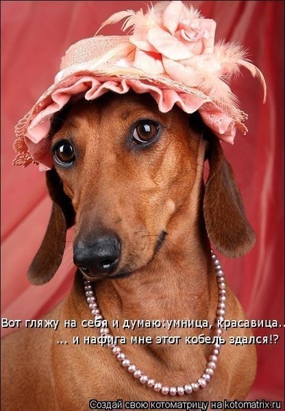 №55, Людмила Яковлева, Paris №55, Людмила Яковлева, Paris