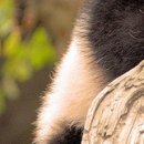 №65, Алина Деревянко, Харьков №65, Алина Деревянко, Харьков