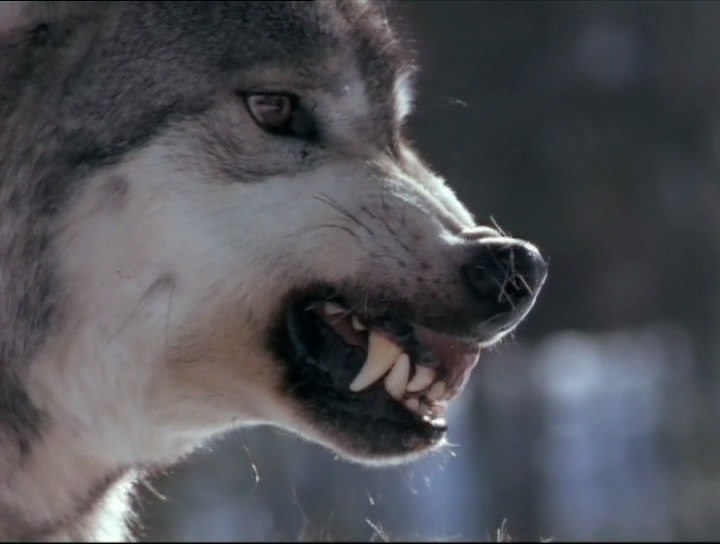 Александр Малеганов | 