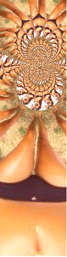 Camelia Manaila | Bucureşti