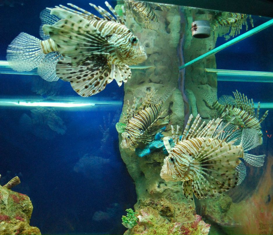 Анастасия Суббот | Москва